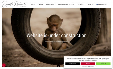 quentinrademaker.com screenshot