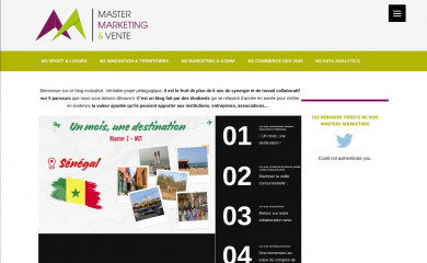 quelmastermarketing.fr screenshot