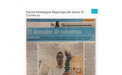 quiropracticoenchorrillos.com screenshot