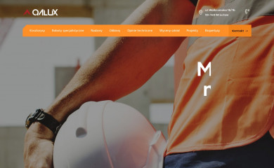 qalux.pl screenshot