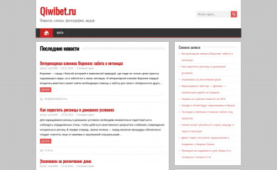 qiwibet.ru screenshot