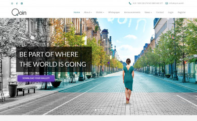 qoin.world screenshot