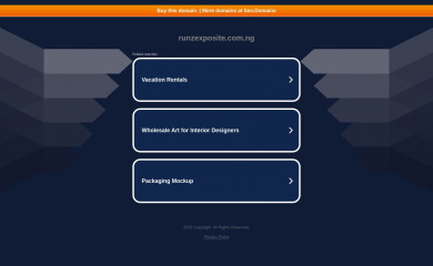 runzexposite.com.ng screenshot