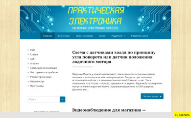 ruselectronic.com screenshot