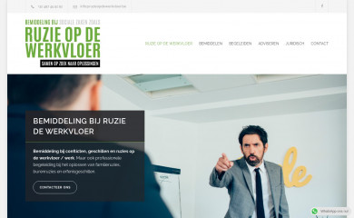 ruzieopdewerkvloer.be screenshot