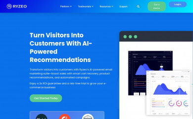 ryzeo.com screenshot