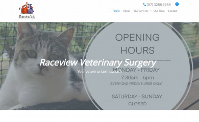 raceviewvet.com.au screenshot