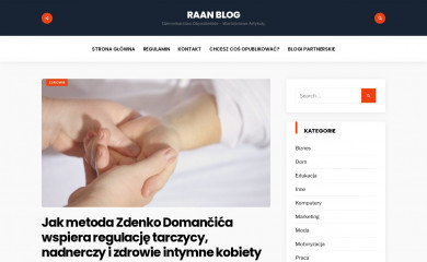 raan.com.pl screenshot