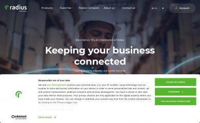 radiusconnectsolutions.com screenshot