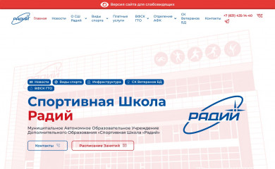 radiy-nn.ru screenshot