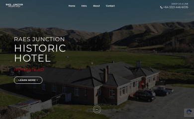 raesjunctionhotel.co.nz screenshot