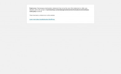 raheelinsurance.com screenshot