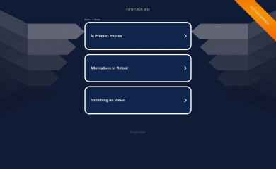 NOISA - Child Theme screenshot