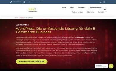 NOISA - Child Theme screenshot