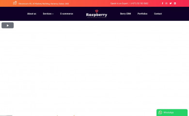 raspberryitservices.com screenshot