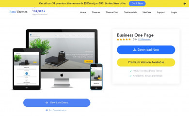 Business One Page screenshot