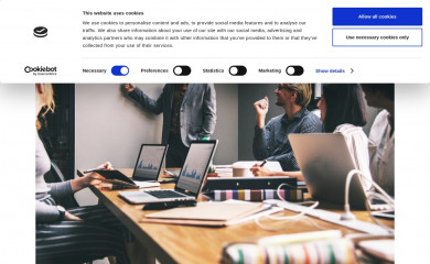 ravnconsult.dk screenshot