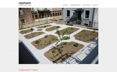 raymann.la screenshot