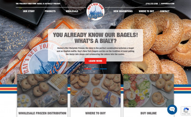 raysnewyorkbagels.com screenshot