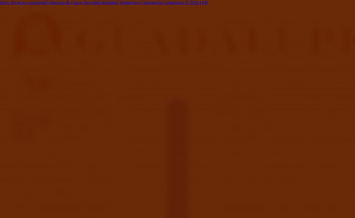 recintoguadalupe.com screenshot