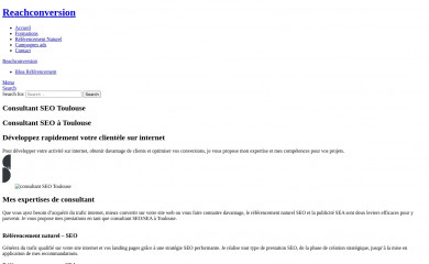 reachconversion.fr screenshot