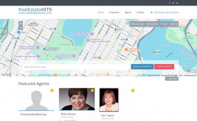 realestatehits.com screenshot