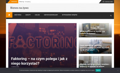 realitypump.pl screenshot
