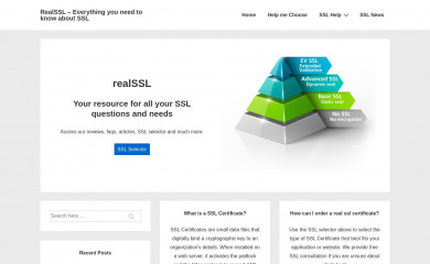 realssl.com screenshot