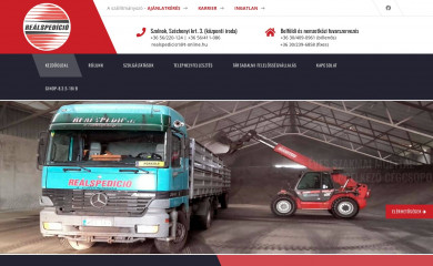 realspedicio.hu screenshot