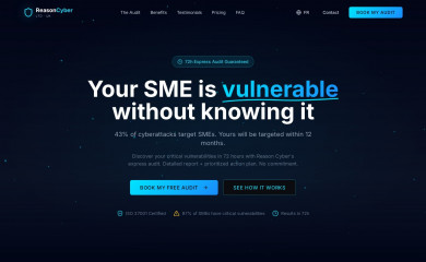 reasoncyber.com screenshot