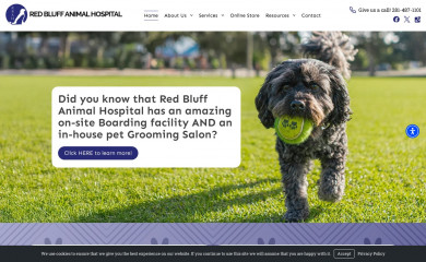 redbluffanimalhospital.com screenshot