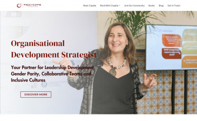 redscope-consulting.com screenshot