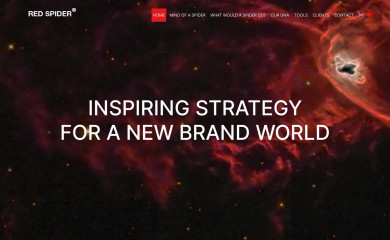redspiderglobal.com screenshot