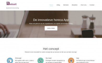 redusit.nl screenshot