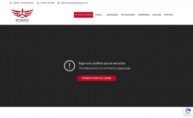 redwings.com.pl screenshot