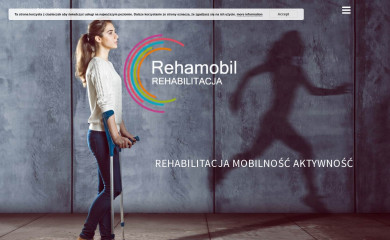 rehamobil.com.pl screenshot
