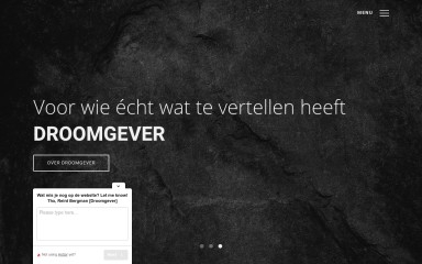 reintbergman.nl screenshot