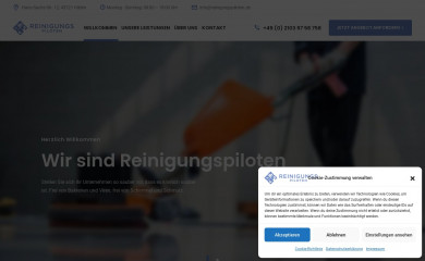 reinigungspiloten.de screenshot