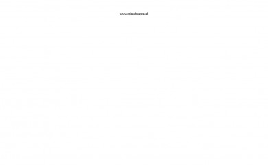 reinschouten.nl screenshot