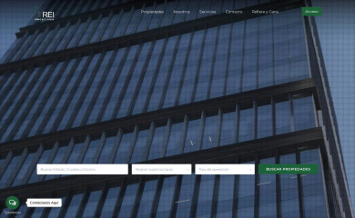 reiinmobiliaria.mx screenshot