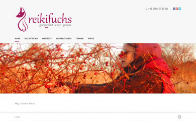 reikifuchs.at screenshot