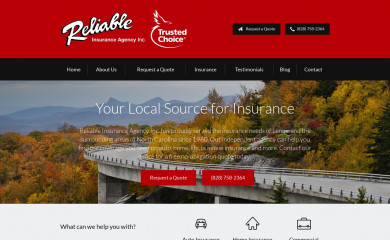 reliableinsurance.biz screenshot