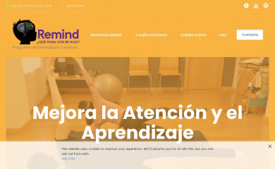 remindzaragoza.es screenshot