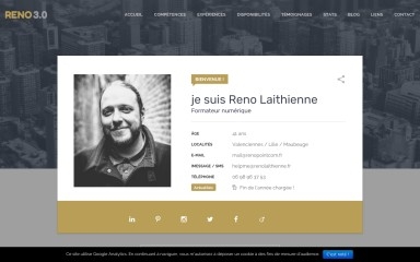 renolaithienne.fr screenshot