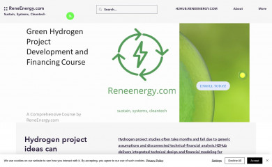 reneenergy.com screenshot