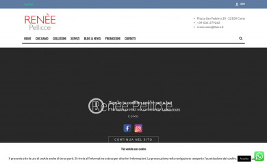 reneepellicce.com screenshot