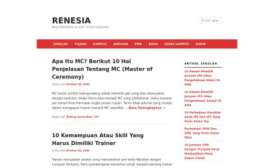 renesia.com screenshot