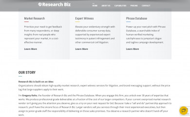 researchbiz.biz screenshot