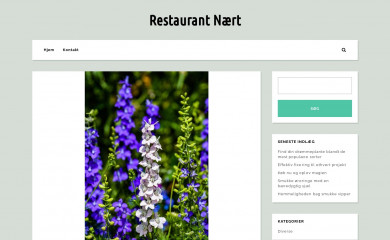 restaurant-naert.dk screenshot