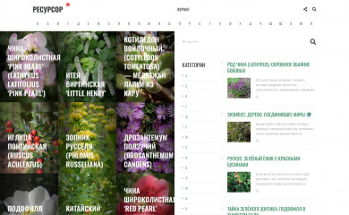 resursor.ru screenshot